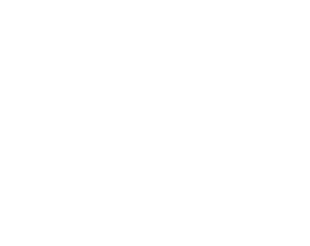 Logo 11