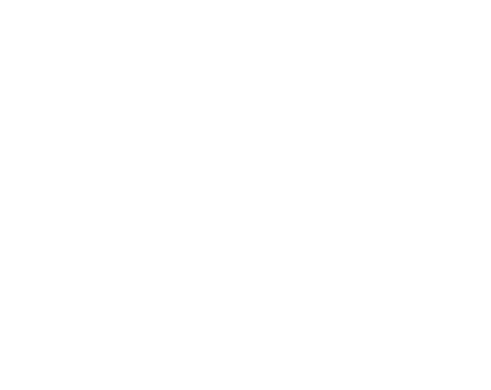 Logo 12