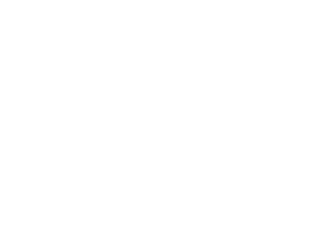 Logo 7