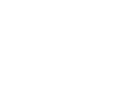 Logo 15